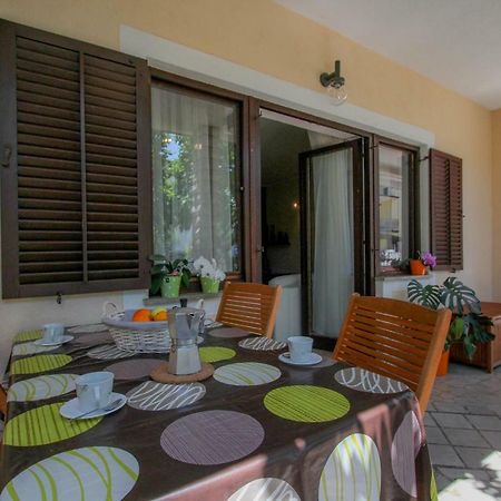 Apartment Sanja Novigrad  Exterior photo