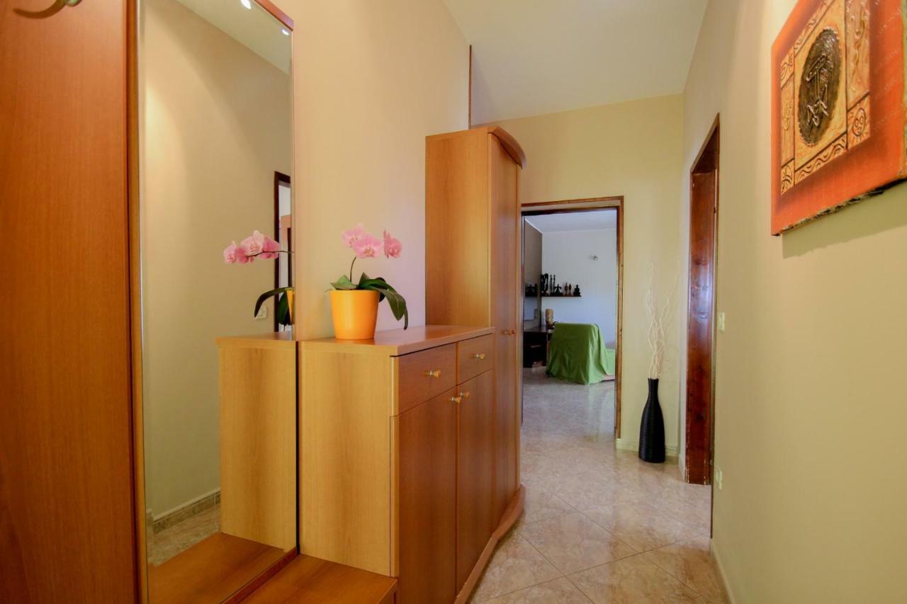 Apartment Sanja Novigrad  Exterior photo