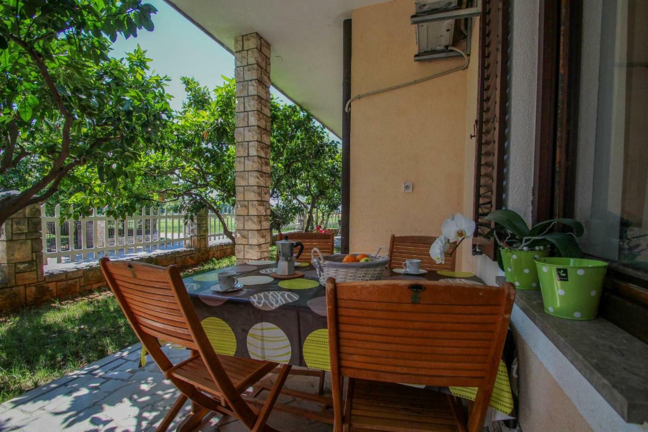 Apartment Sanja Novigrad  Exterior photo