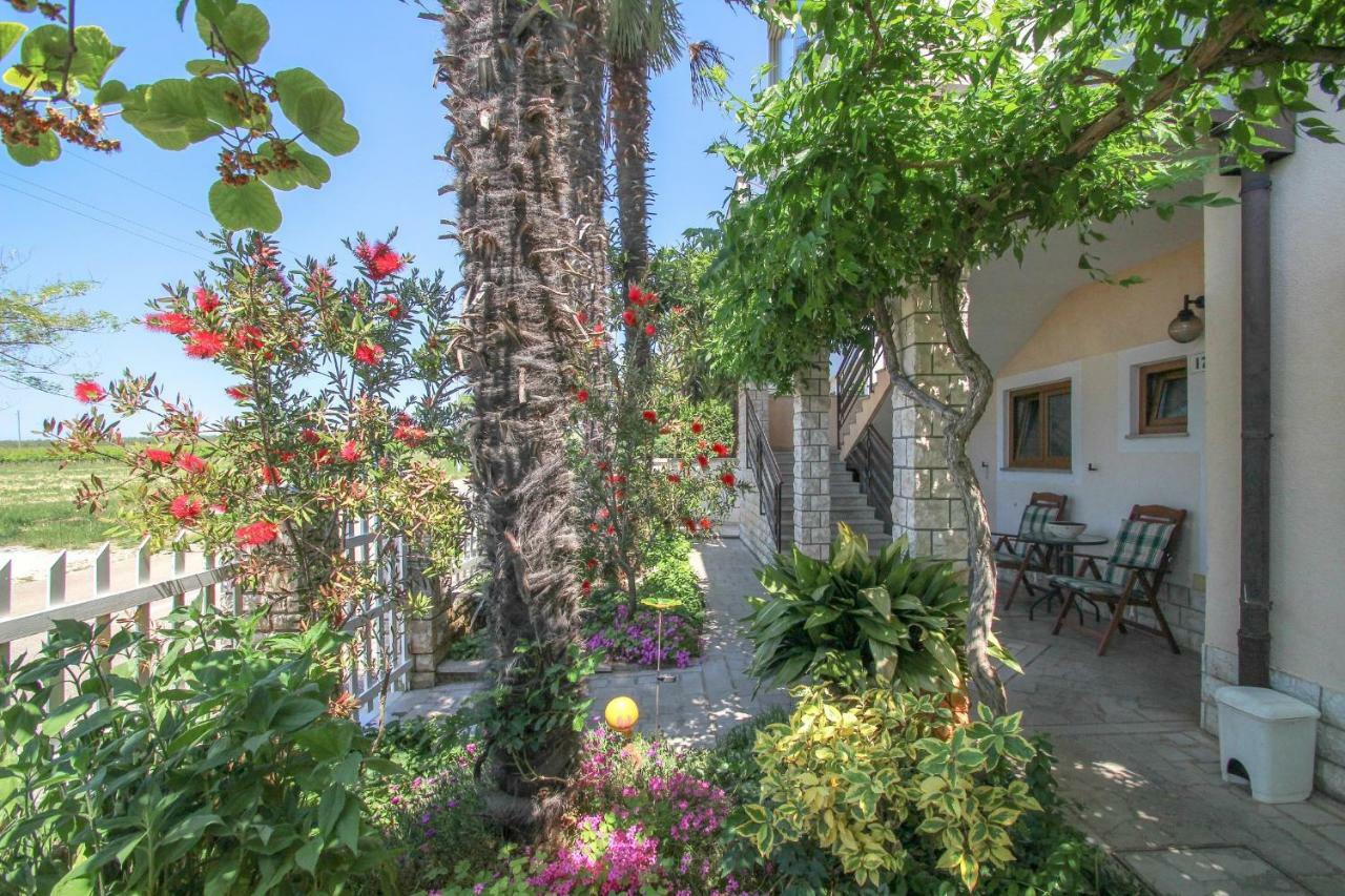 Apartment Sanja Novigrad  Exterior photo